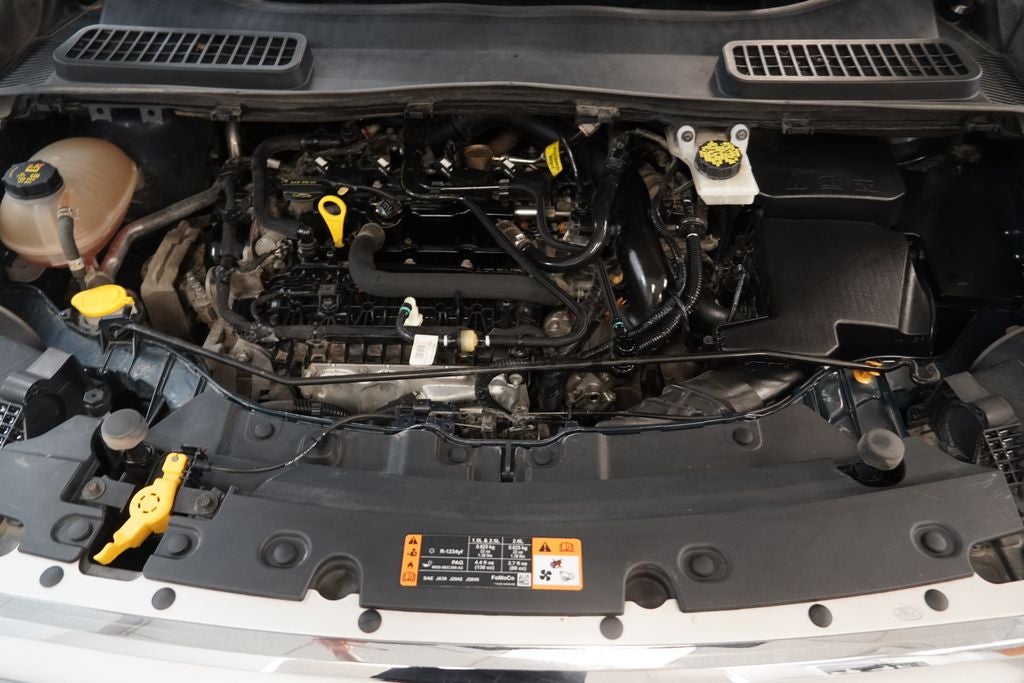 2019 Ford Escape SE 4WD