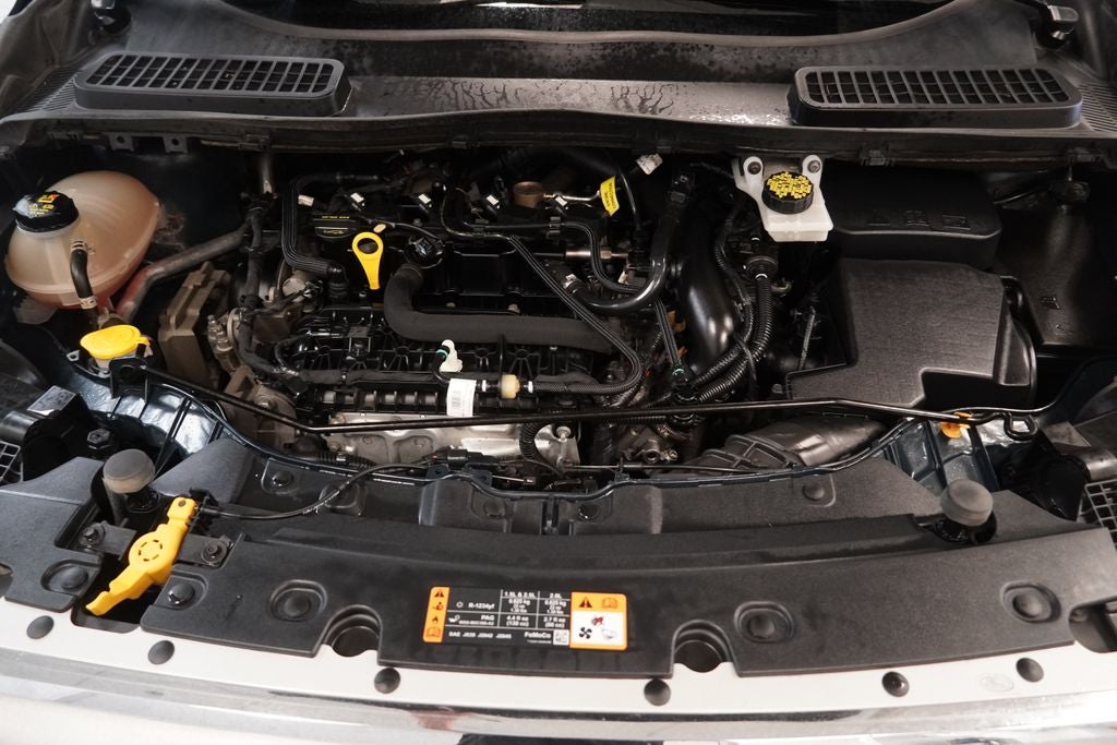 2019 Ford Escape SE 4WD