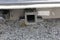 2026 Chevrolet Express 2500 Work Van Cargo