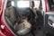 2021 Jeep Compass Limited 4WD
