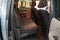 2010 Chevrolet Silverado 1500 Work Truck ( PRE-AUCTION )