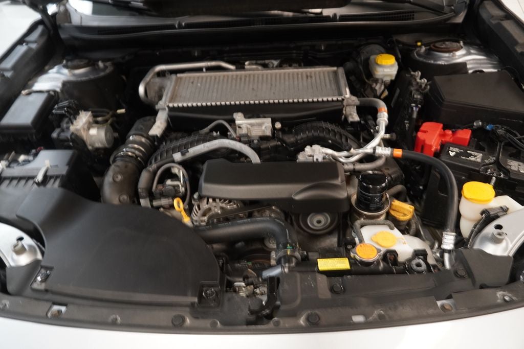 2024 Subaru Outback Wilderness ( AWD )