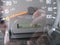 2025 Chevrolet 5500 XG LCF Gas WORK TRUCK
