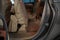 2008 Buick Enclave CXL ( PRE-AUCTION )