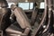 2025 Hyundai Santa Fe SEL AWD