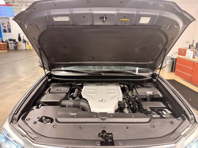 2021 Lexus GX 460 w/ Collison Alert