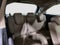 2020 Honda Odyssey EX-L W/ HEATED SEATS